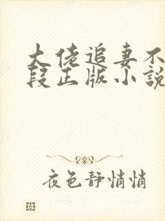 大佬追妻不择手段正版小说