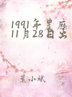 1991年农历11月28日出生八字