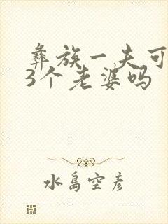 彝族一夫可以娶3个老婆吗 彝族一夫可以娶3个老婆吗