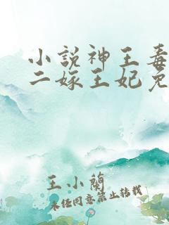 小说神王毒宠:二嫁王妃免费看