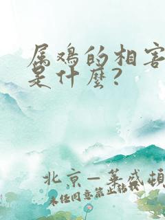 属鸡的相害生肖是什么?