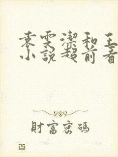 袁雯洁和王子枫小说超前看