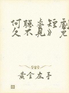 何聪睿短剧《好久不见》免费观看