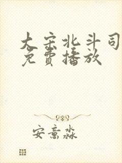 大宋北斗司高清免费播放