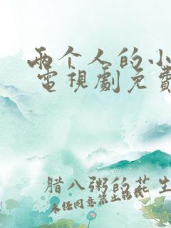 两个人的小森林 电视剧免费观看策驰