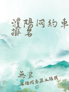 濮阳网约车平台排名