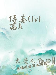 侍妾(1v1 高h