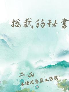 总裁的秘书h