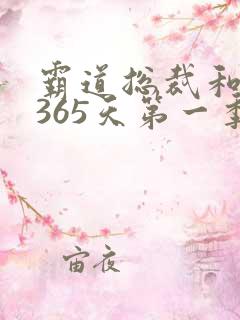 霸道总裁和我的365天第一季