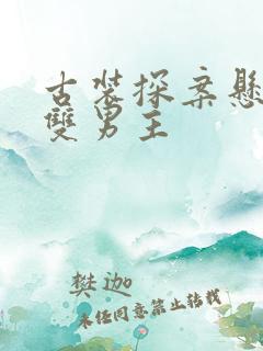 古装探案悬疑剧双男主