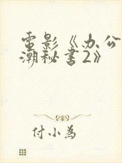 电影《办公室高潮秘书2》