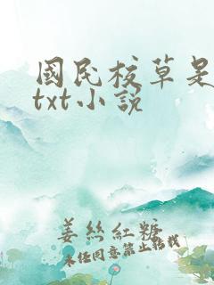 国民校草是女生txt小说