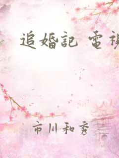 追婚记 电视剧