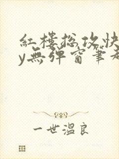 红楼总攻快穿by无弹窗笔趣阁小说
