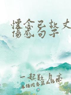 怀念已故丈夫的伤感句子