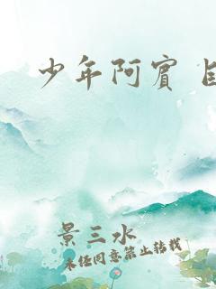 少年阿宾 目录