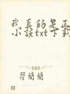 我真的是正派 小说txt下载