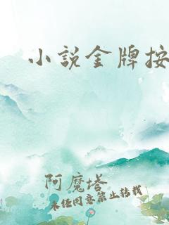 小说金牌按摩师