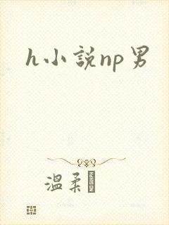 h小说np男