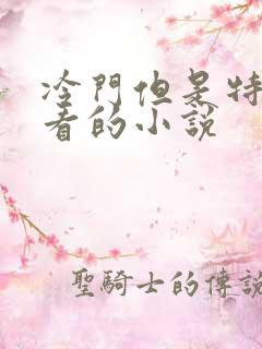 冷门但是特别好看的小说