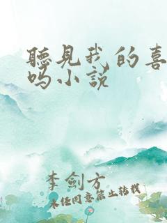 听见我的喜欢了吗小说