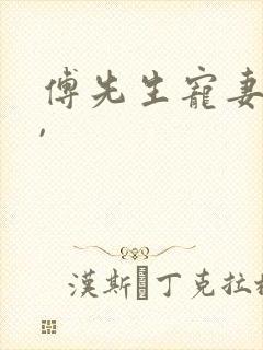 傅先生宠妻无度, 傅先生宠妻无度,