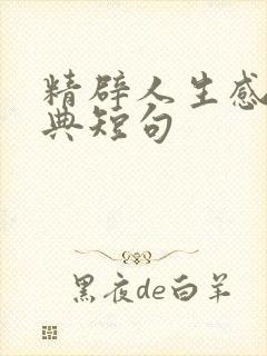 精辟人生感悟经典短句