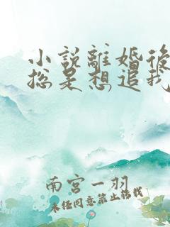 小说离婚后前夫总是想追我下载