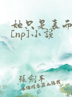 她只是表面清纯[np]小说