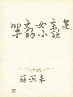 np文女主是瞎子的小说