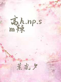 高h.np.sm辣