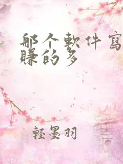 那个软件写小说赚的多