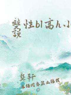双性bl高h小说
