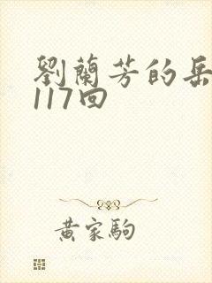 刘兰芳的岳飞传117回