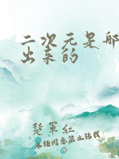 二次元是哪国搞出来的 二次元是哪国搞出来的