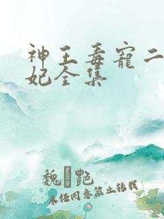 神王毒宠二嫁王妃全集