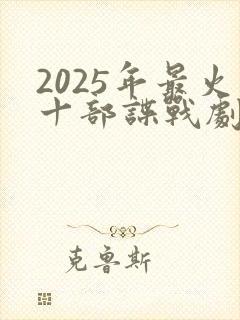 2025年最火十部谍战剧