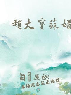 赵大宝苏媚7章