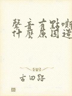 声音有点嘶哑是什么原因造成的