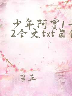 少年阿宾1一72全文txt目录