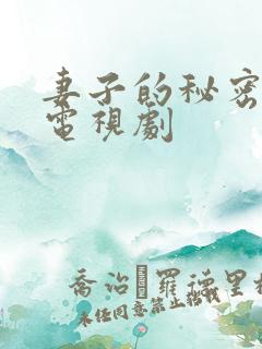 妻子的秘密韩剧电视剧