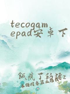 tecogamepad安卓下载