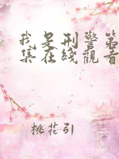 我是刑警第十六集在线观看