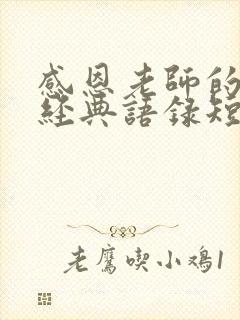 感恩老师的句子经典语录短句