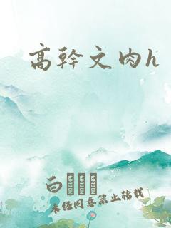 高干文肉h