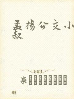 孟杨公交小说孟叔