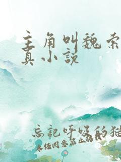 主角叫魏索的修真小说