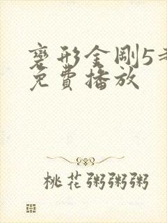 变形金刚5超清免费播放
