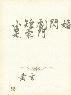 小短剧闪婚老公是豪门