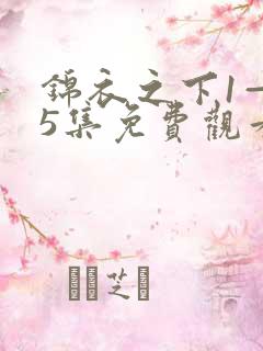 锦衣之下1—55集免费观看